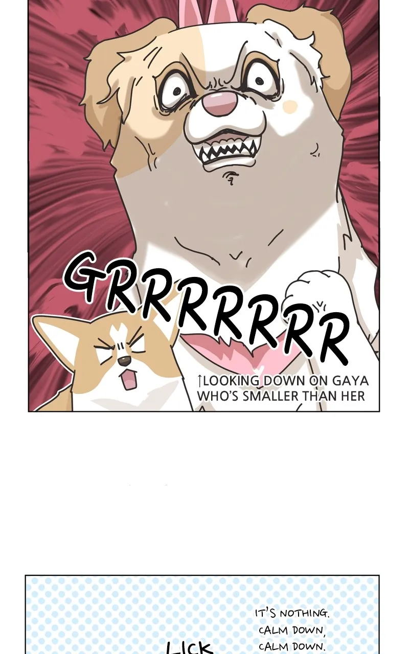 The Dog Diaries Zinmanga X Chapter 116 Page 29