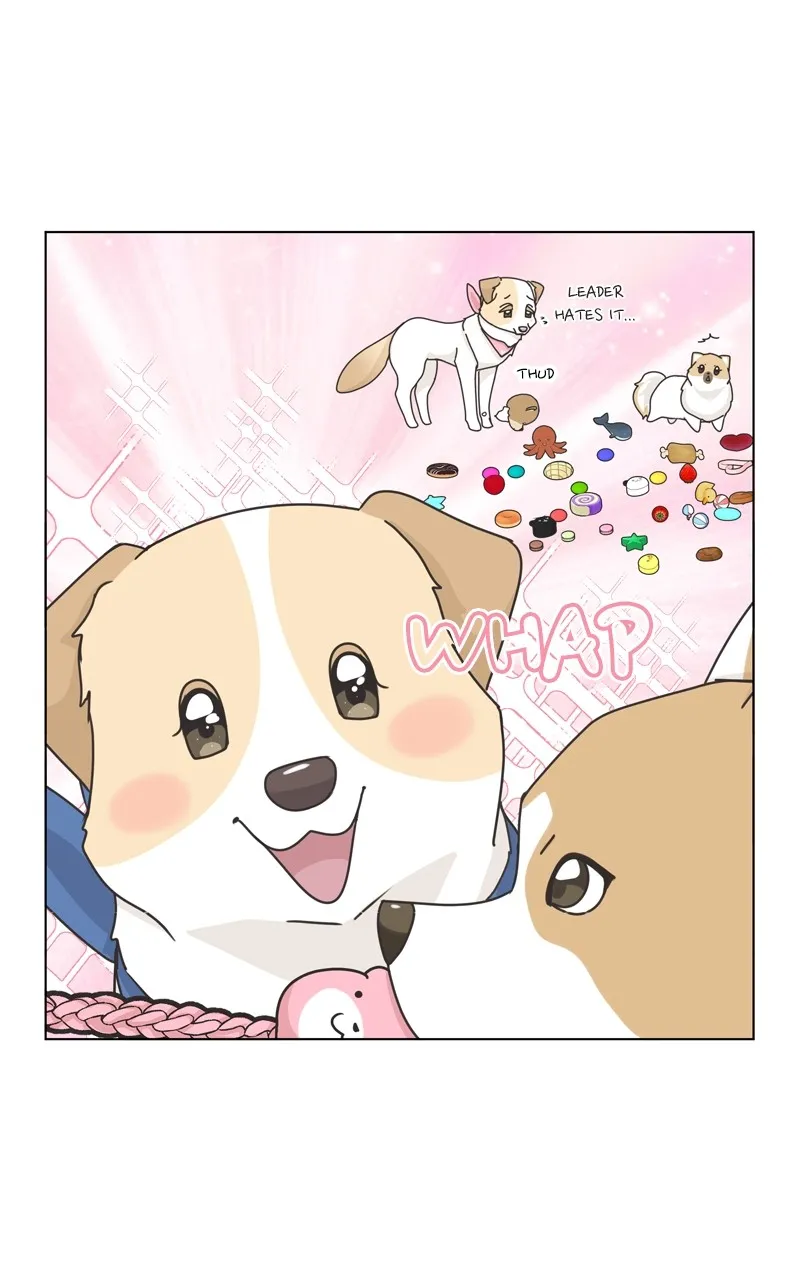 The Dog Diaries Zinmanga X Chapter 116 Page 44