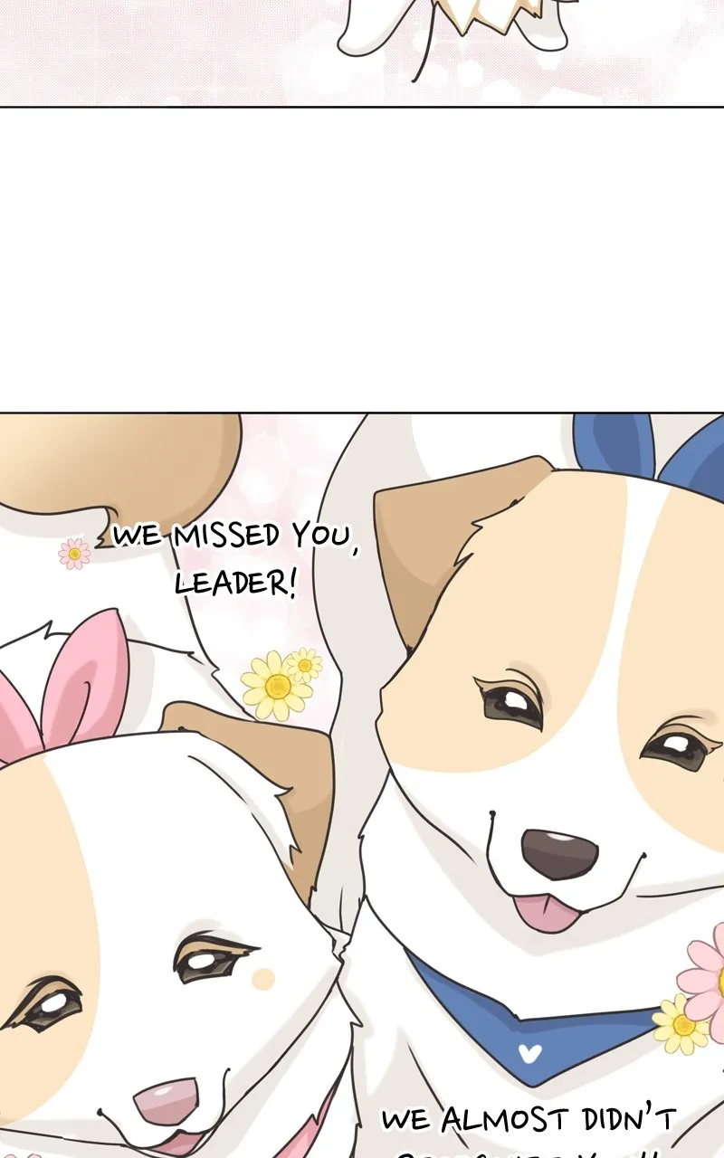 The Dog Diaries Zinmanga X Chapter 115 Page 27