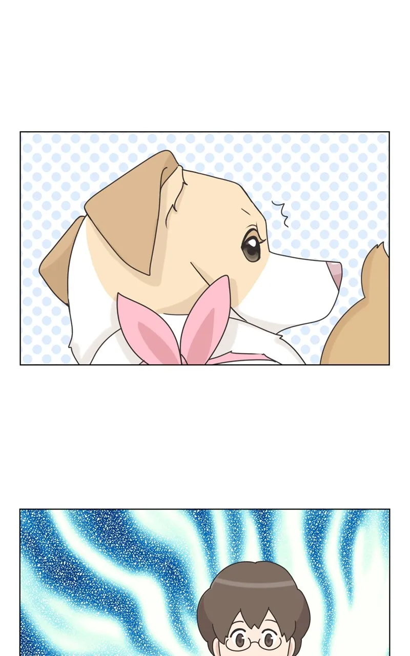 The Dog Diaries Zinmanga X Chapter 115 Page 34