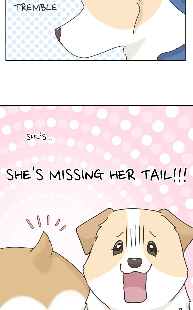 The Dog Diaries Zinmanga X Chapter 115 Page 37