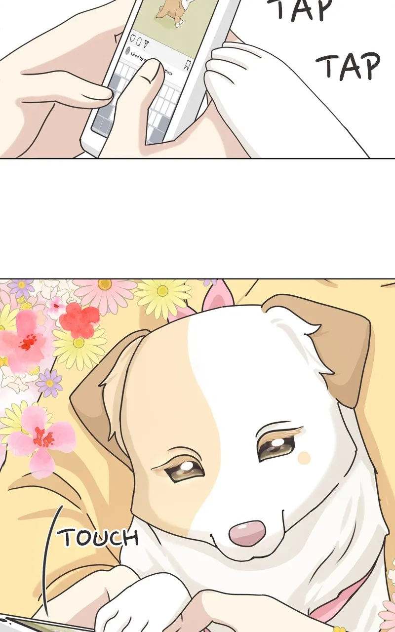 The Dog Diaries Zinmanga X Chapter 115 Page 66