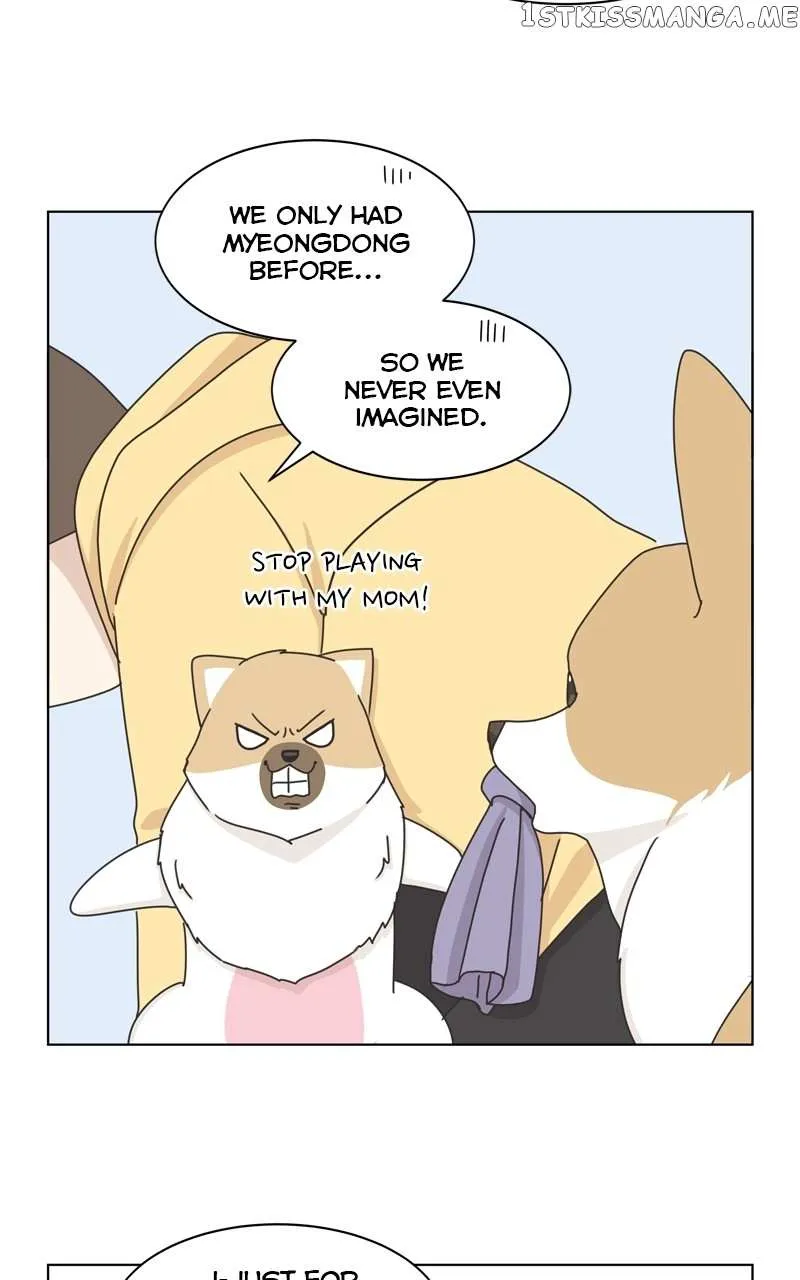 The Dog Diaries Zinmanga X Chapter 114 Page 55