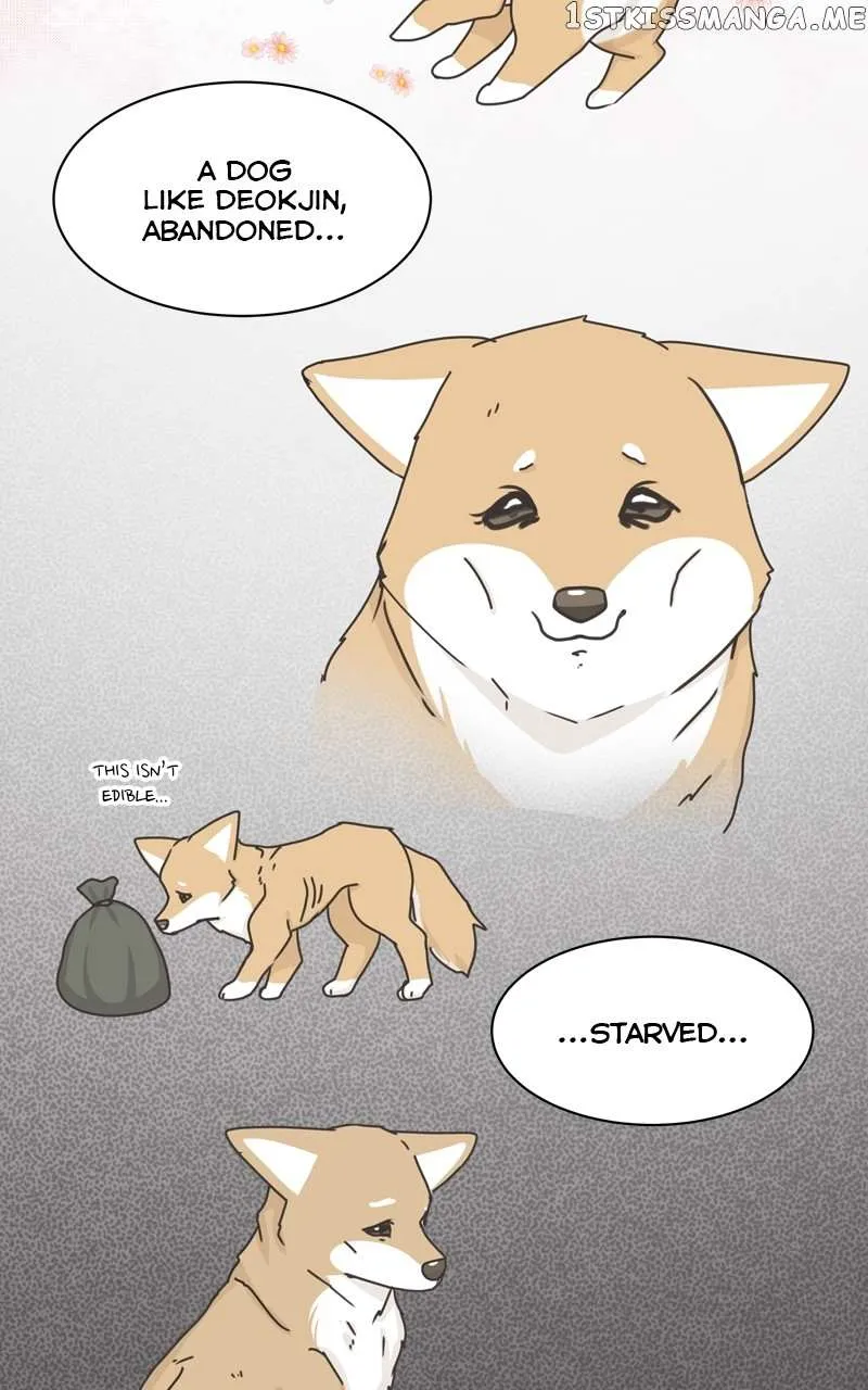 The Dog Diaries Zinmanga X Chapter 114 Page 62