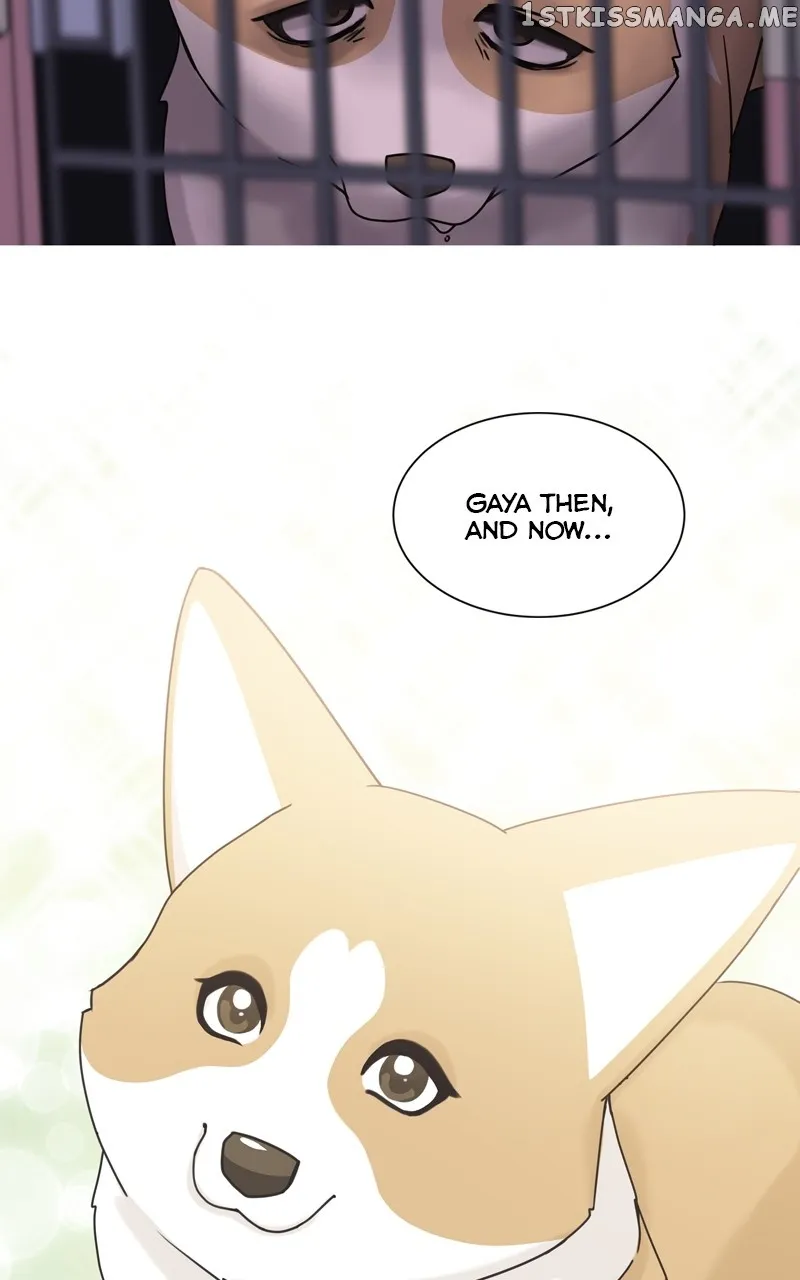 The Dog Diaries Zinmanga X Chapter 113 Page 9