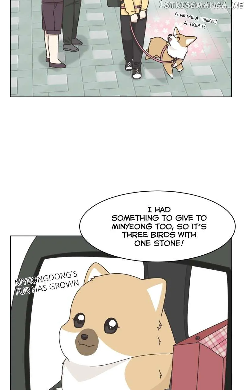 The Dog Diaries Zinmanga X Chapter 112 Page 67