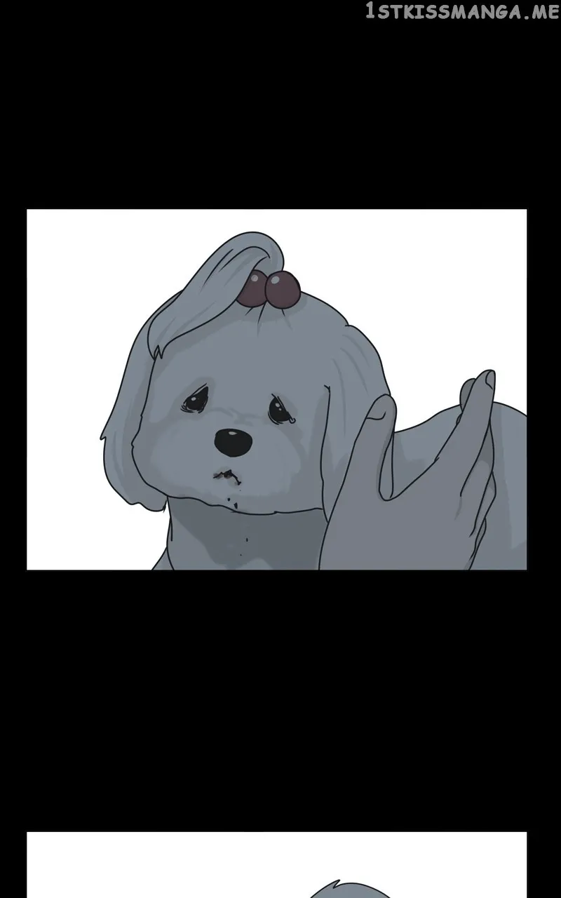 The Dog Diaries Zinmanga X Chapter 107 Page 53