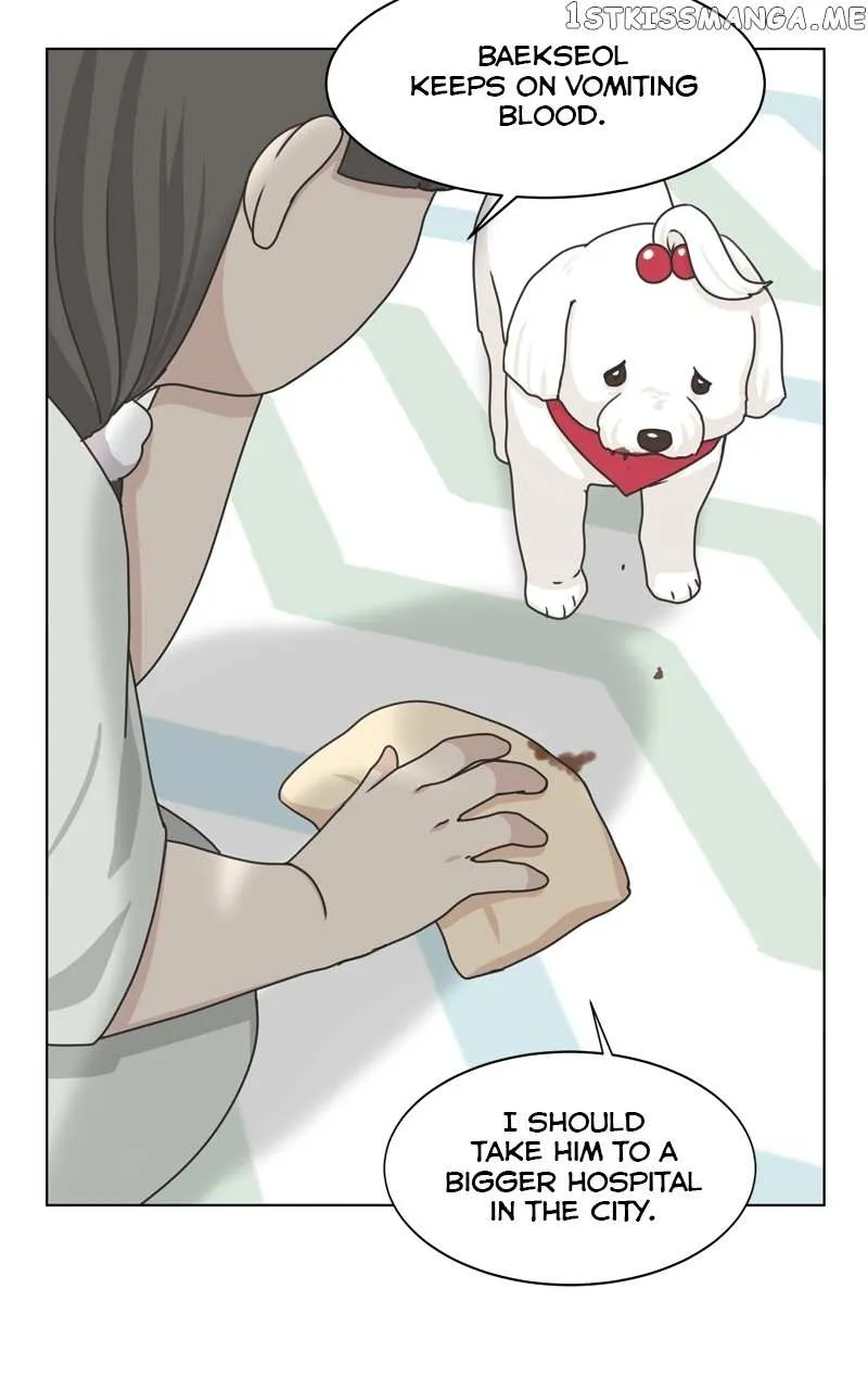 The Dog Diaries Zinmanga X Chapter 106 Page 42