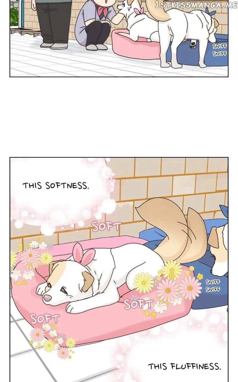 The Dog Diaries Zinmanga X Chapter 104 Page 9