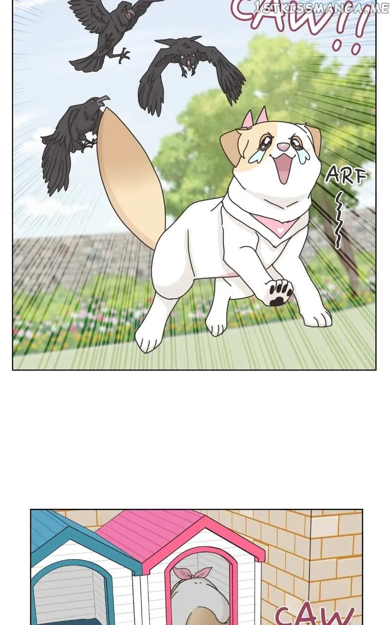 The Dog Diaries Zinmanga X Chapter 104 Page 23