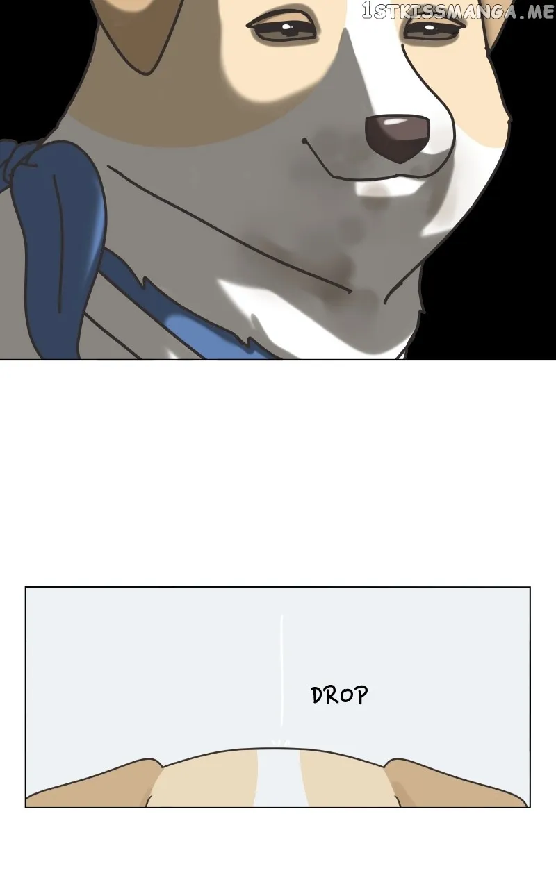 The Dog Diaries Zinmanga X Chapter 104 Page 30