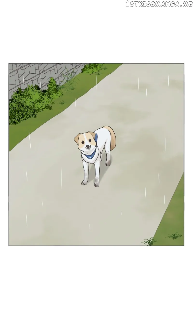 The Dog Diaries Zinmanga X Chapter 104 Page 31