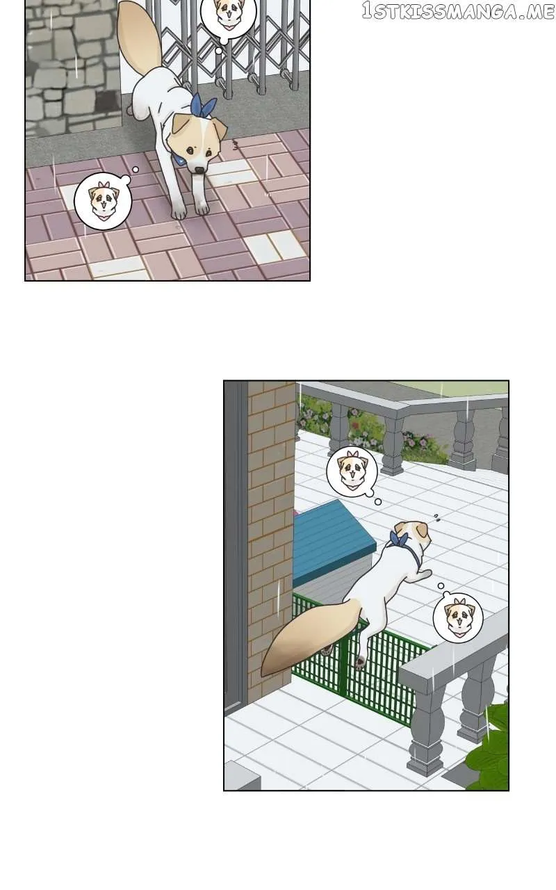 The Dog Diaries Zinmanga X Chapter 104 Page 33