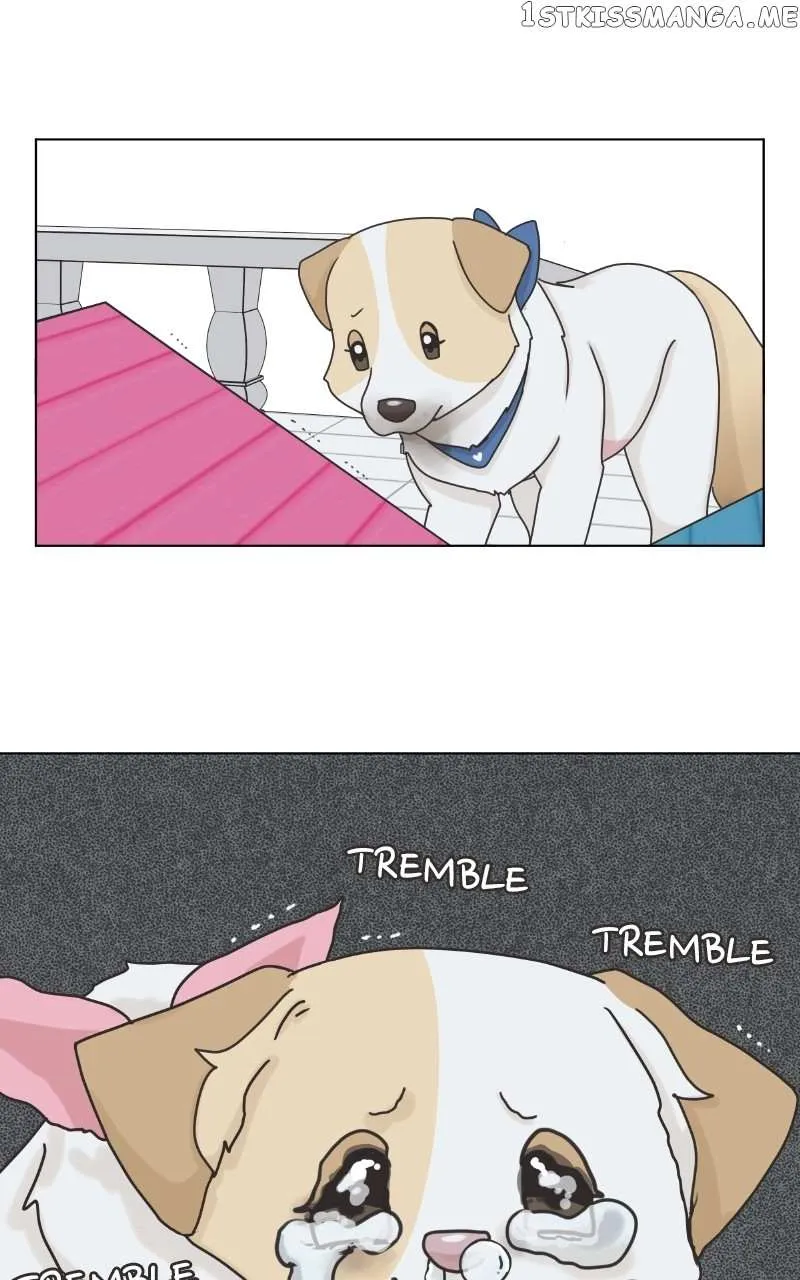 The Dog Diaries Zinmanga X Chapter 104 Page 34