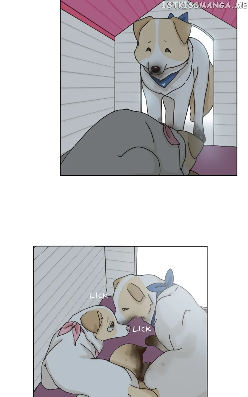 The Dog Diaries Zinmanga X Chapter 104 Page 37