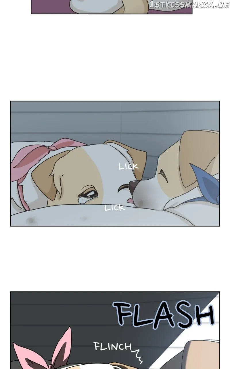 The Dog Diaries Zinmanga X Chapter 104 Page 38