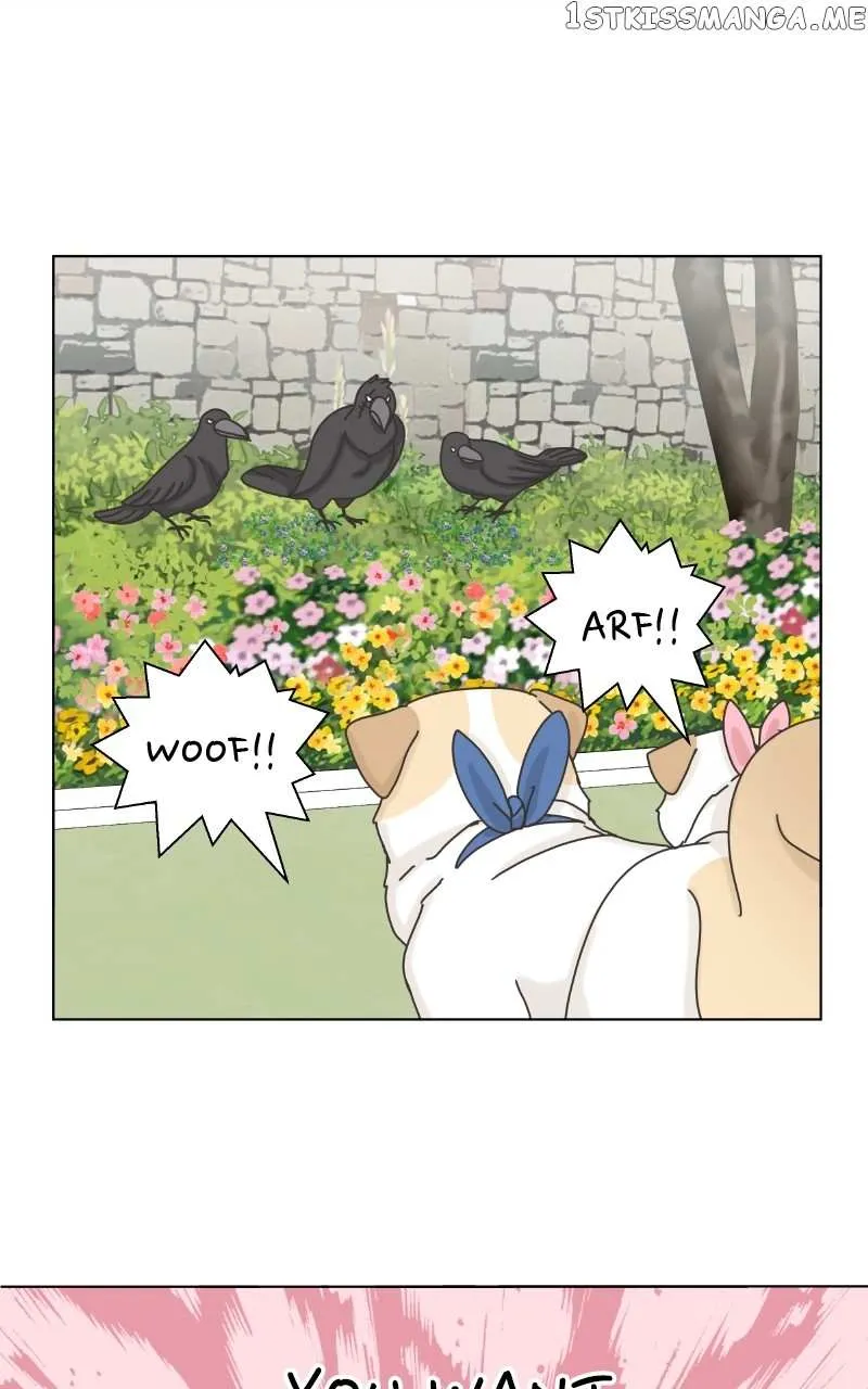 The Dog Diaries Zinmanga X Chapter 104 Page 48