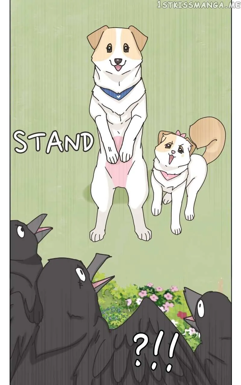 The Dog Diaries Zinmanga X Chapter 104 Page 51
