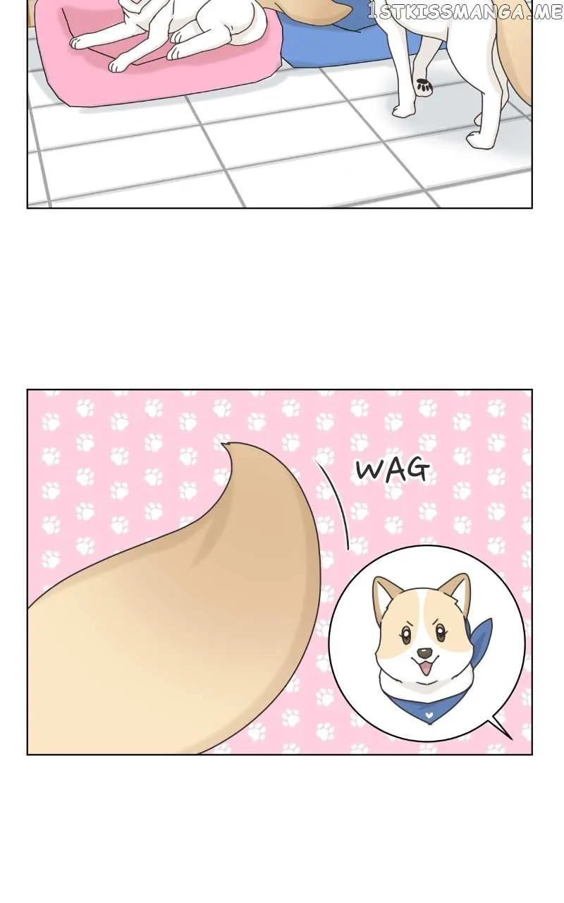 The Dog Diaries Zinmanga X Chapter 104 Page 56
