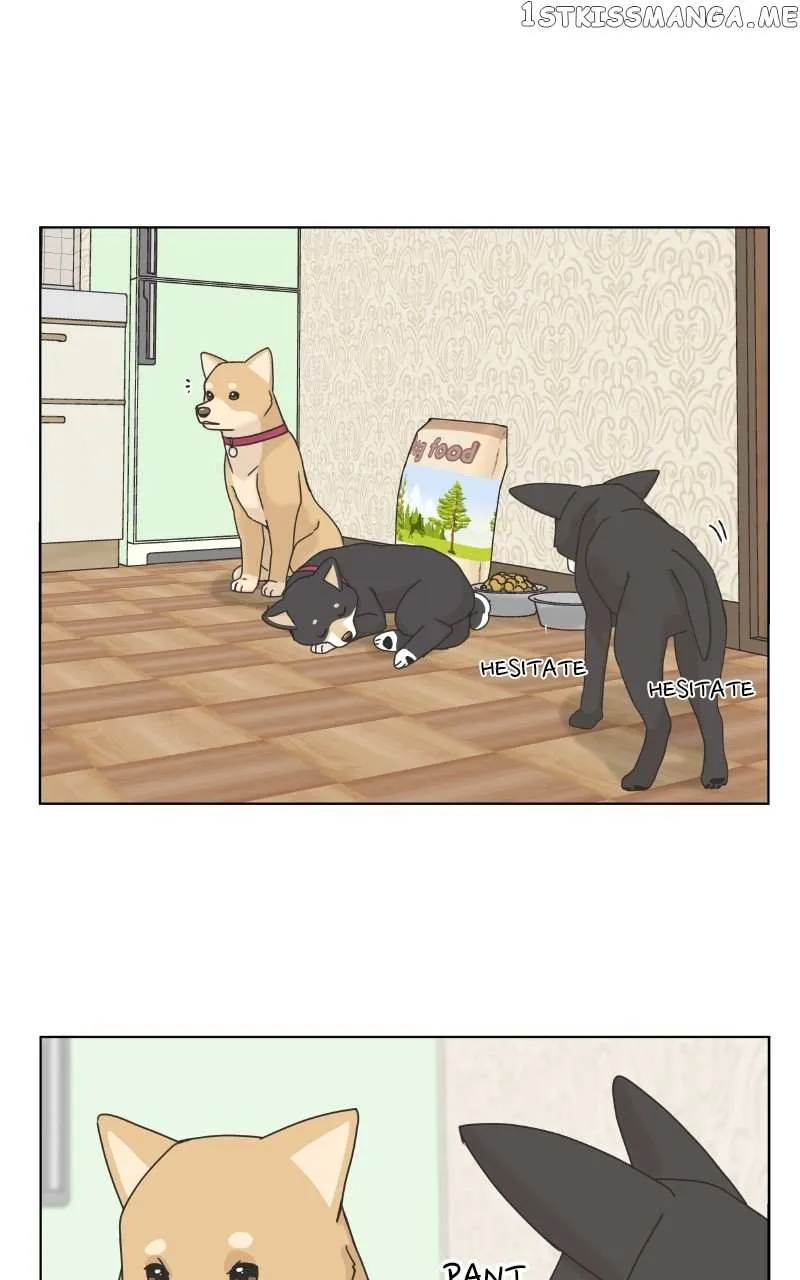 The Dog Diaries Zinmanga X Chapter 101 Page 29