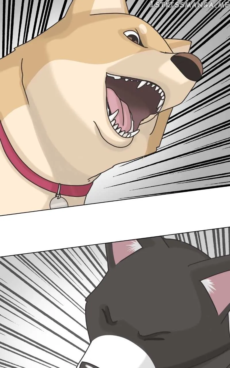The Dog Diaries Zinmanga X Chapter 101 Page 33