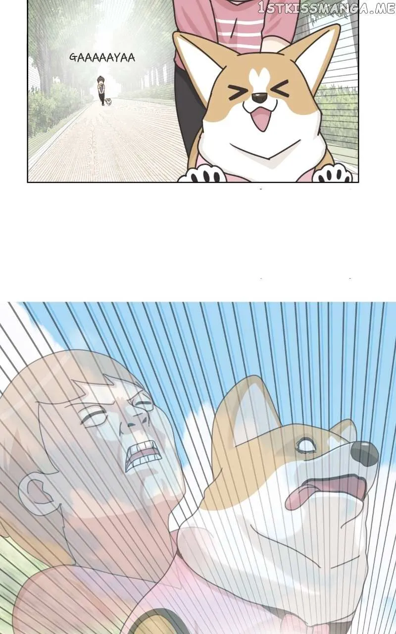 The Dog Diaries Zinmanga X Chapter 99 Page 26