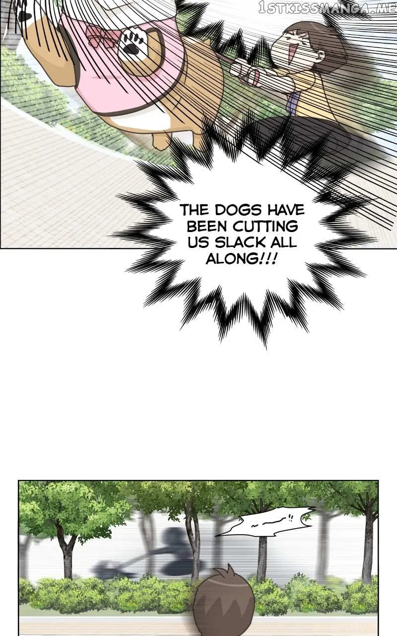 The Dog Diaries Zinmanga X Chapter 99 Page 34