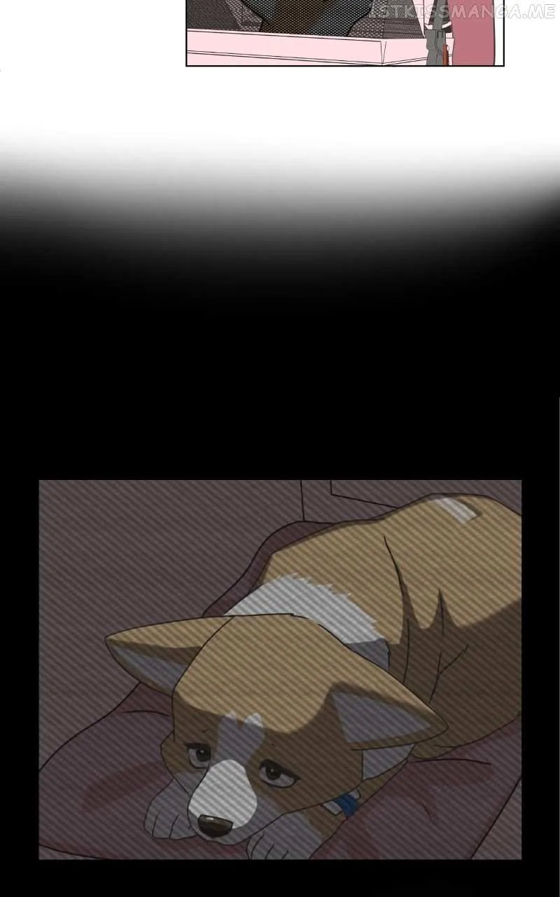 The Dog Diaries Zinmanga X Chapter 95 Page 43