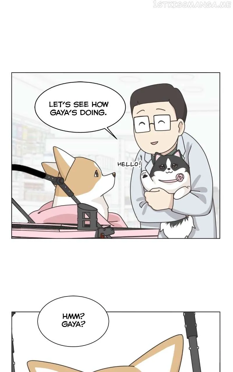 The Dog Diaries Zinmanga X Chapter 94 Page 30