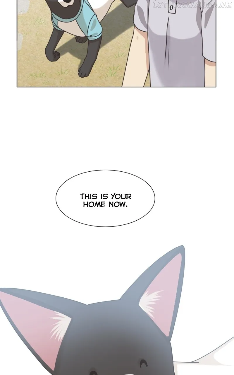 The Dog Diaries Zinmanga X Chapter 93 Page 61