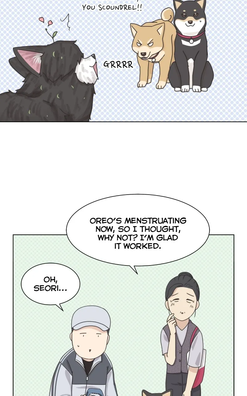 The Dog Diaries Zinmanga X Chapter 92 Page 42