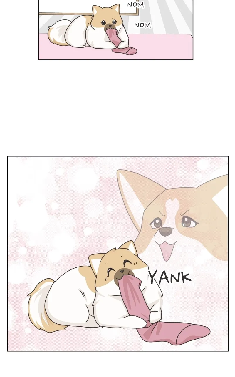 The Dog Diaries Zinmanga X Chapter 92 Page 51