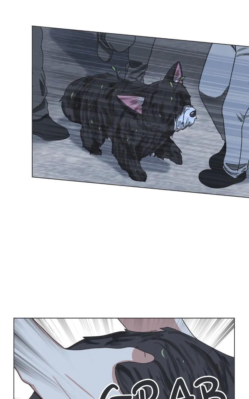 The Dog Diaries Zinmanga X Chapter 91 Page 21
