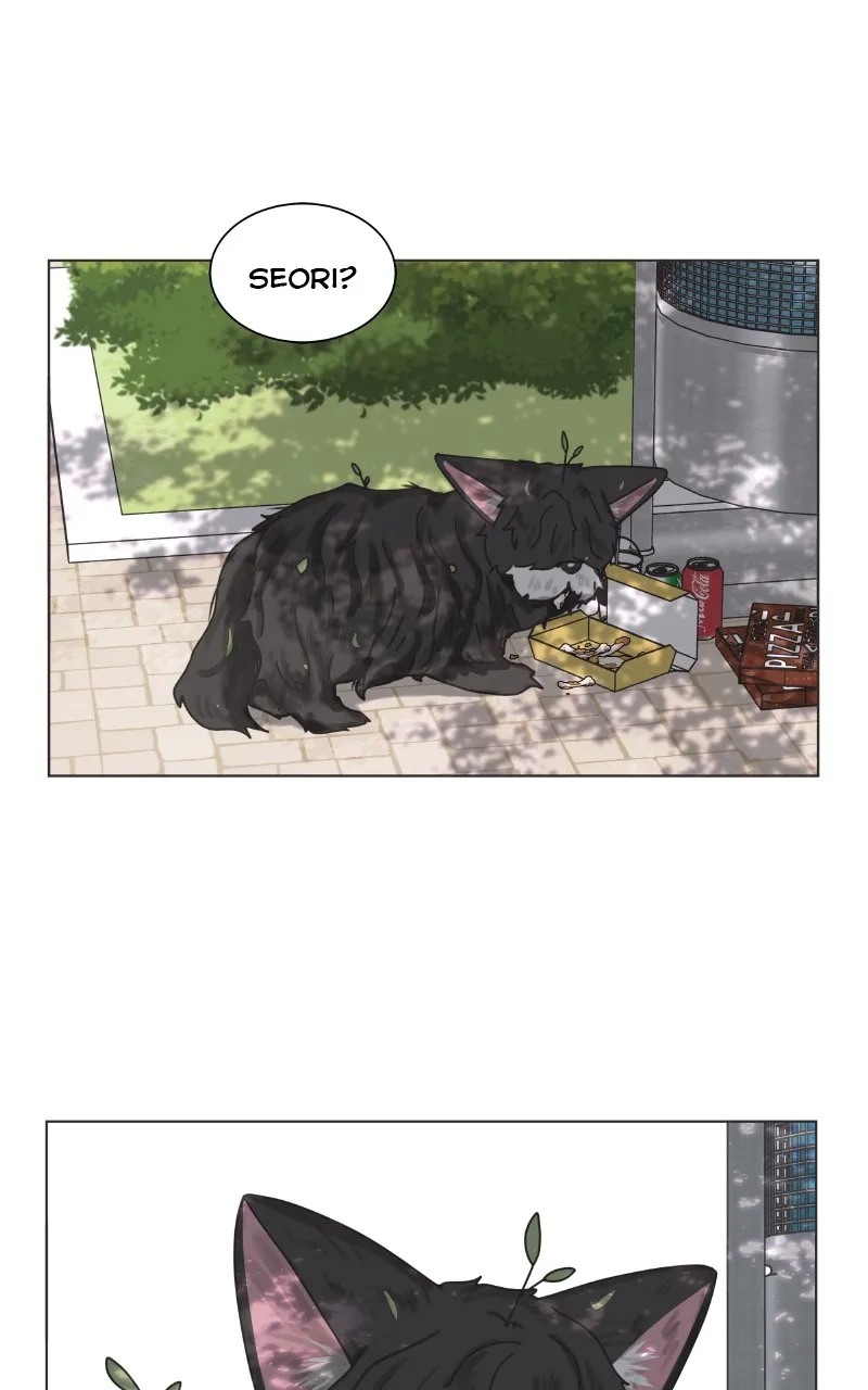The Dog Diaries Zinmanga X Chapter 91 Page 36