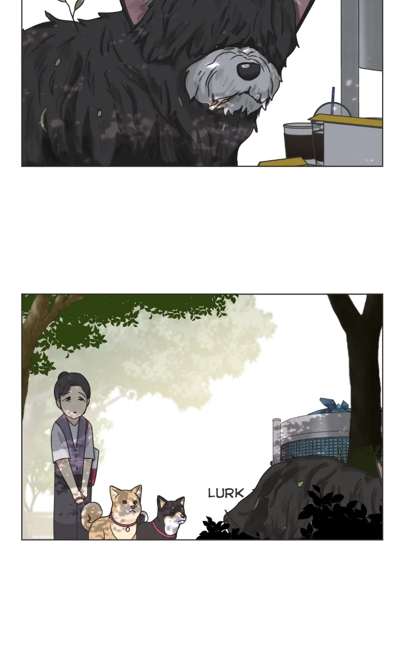 The Dog Diaries Zinmanga X Chapter 91 Page 37