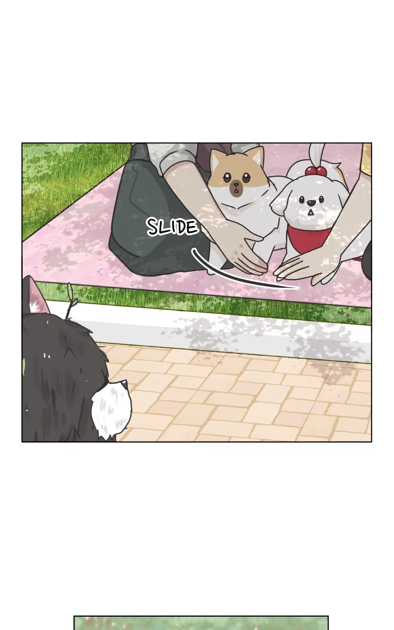 The Dog Diaries Zinmanga X Chapter 88 Page 28