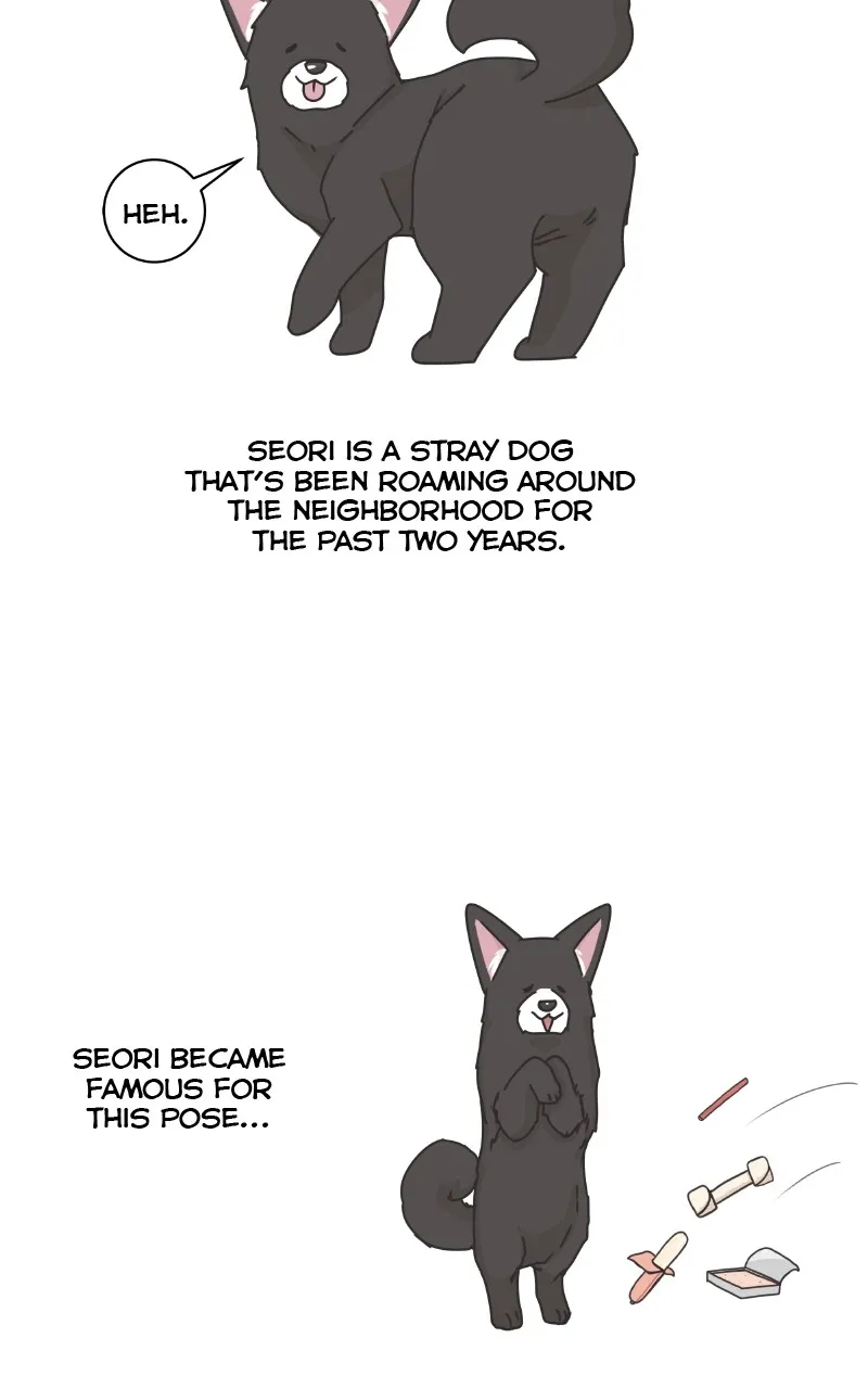 The Dog Diaries Zinmanga X Chapter 88 Page 37