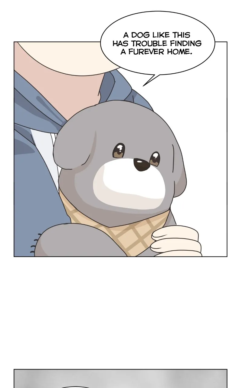 The Dog Diaries Zinmanga X Chapter 88 Page 43