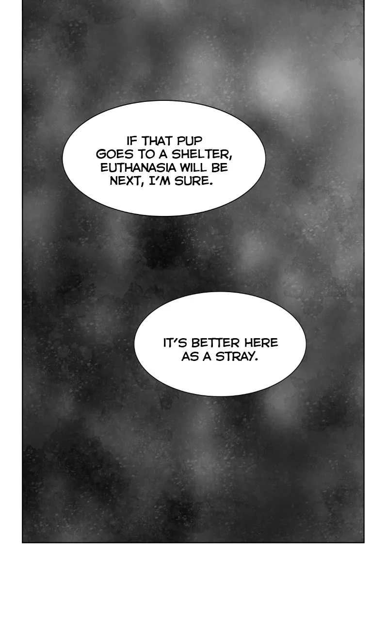 The Dog Diaries Zinmanga X Chapter 88 Page 45