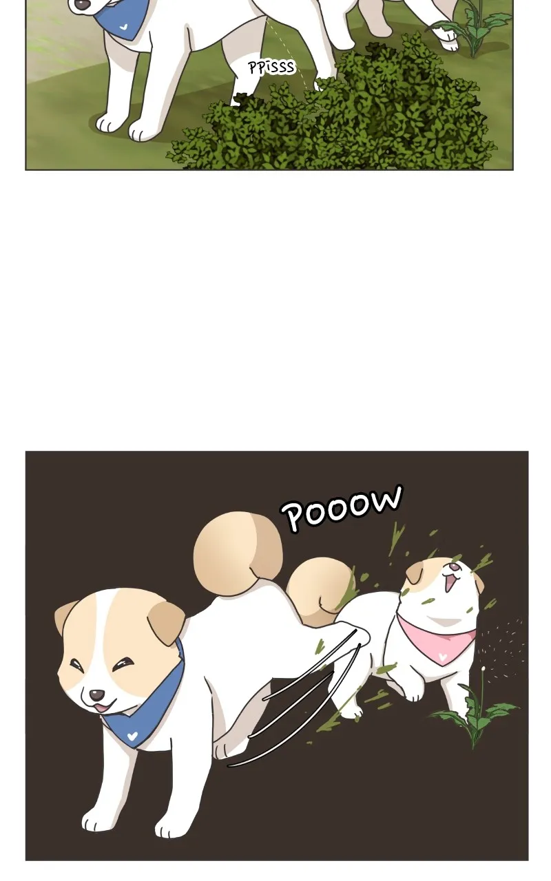 The Dog Diaries Zinmanga X Chapter 85 Page 8
