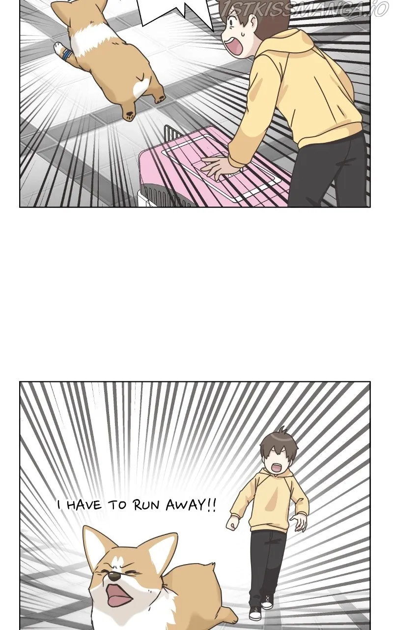 The Dog Diaries Zinmanga X Chapter 84 Page 2