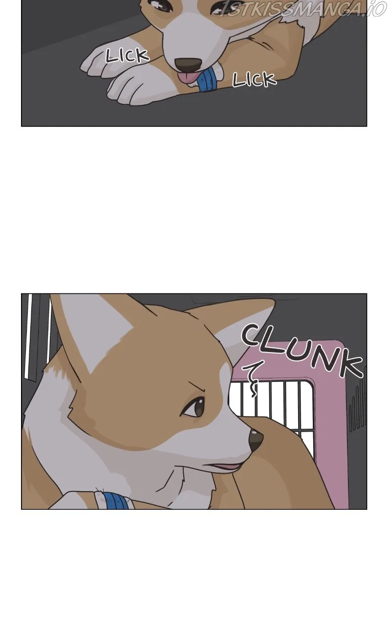 The Dog Diaries Zinmanga X Chapter 83 Page 36