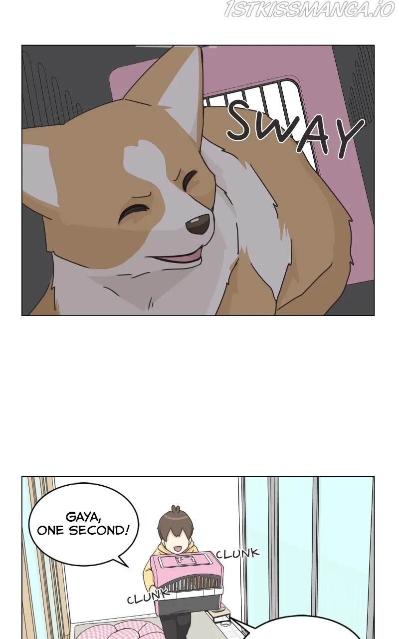 The Dog Diaries Zinmanga X Chapter 83 Page 37