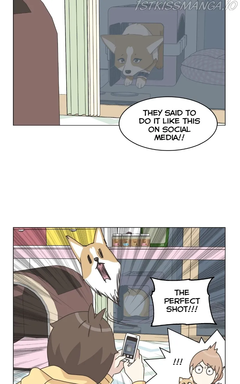 The Dog Diaries Zinmanga X Chapter 83 Page 44