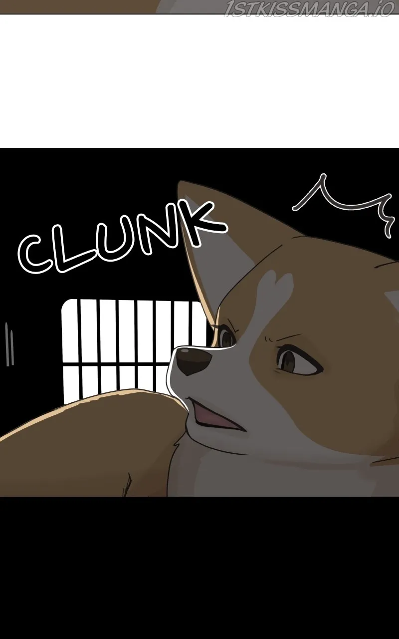 The Dog Diaries Zinmanga X Chapter 83 Page 62