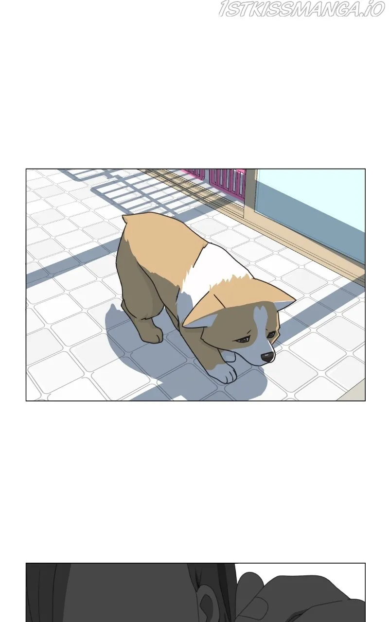 The Dog Diaries Zinmanga X Chapter 82 Page 36