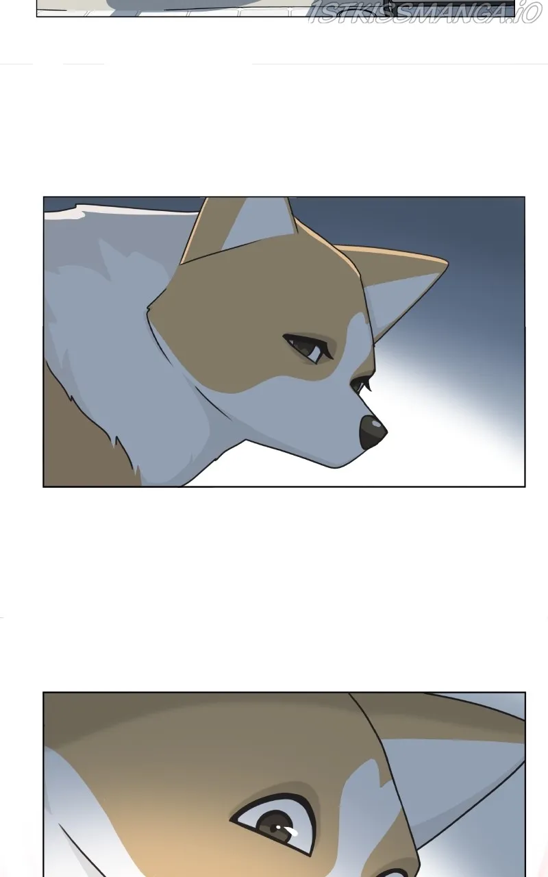 The Dog Diaries Zinmanga X Chapter 82 Page 38