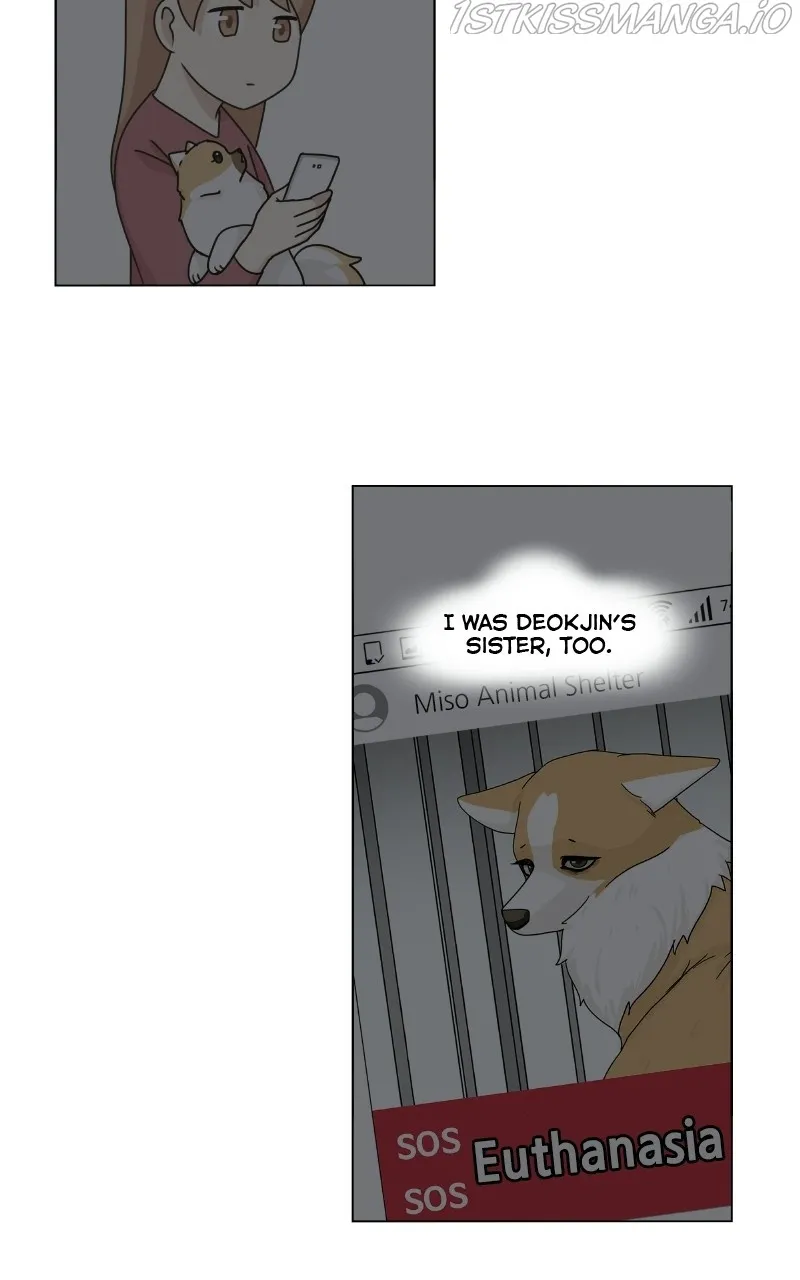 The Dog Diaries Zinmanga X Chapter 79 Page 42