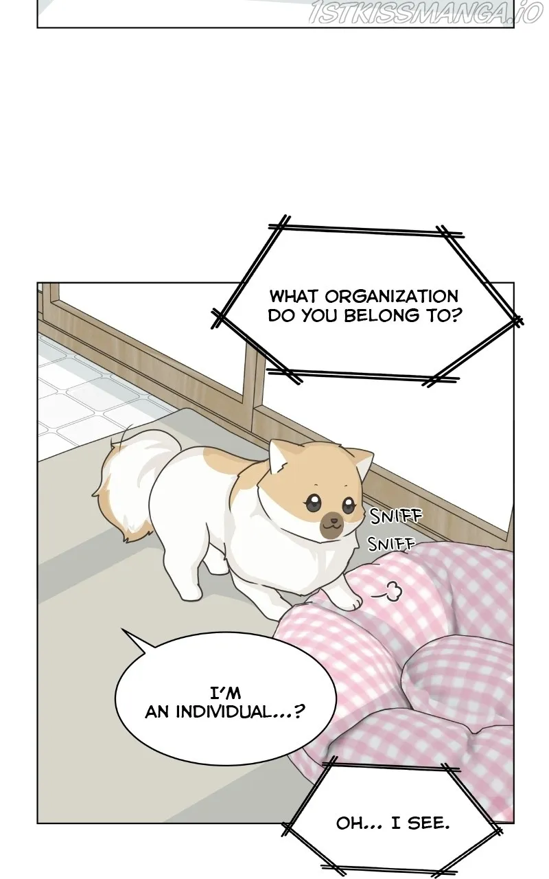 The Dog Diaries Zinmanga X Chapter 79 Page 52