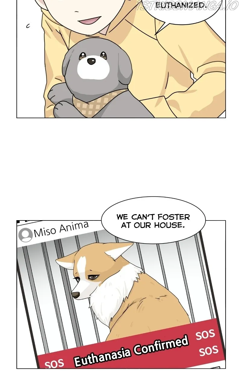 The Dog Diaries Zinmanga X Chapter 78 Page 60